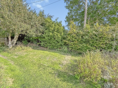 Picture 13